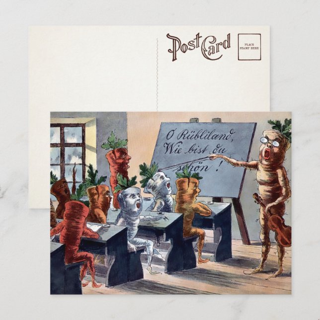 Vintage Carrots Musikklass Postkort  Vykort (Fram/baksida)