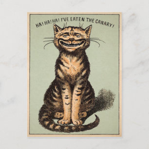Vintage Cat Canary Vykort