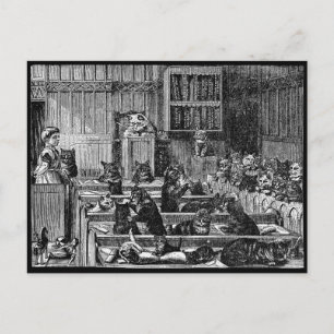 Vintage Cat Courtroom Vykort