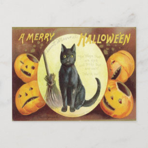 Vintage Cat Halloween Vykort