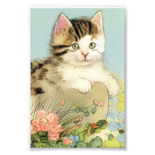 Vintage Cat Illustration med Rosa Flowers Fototryck