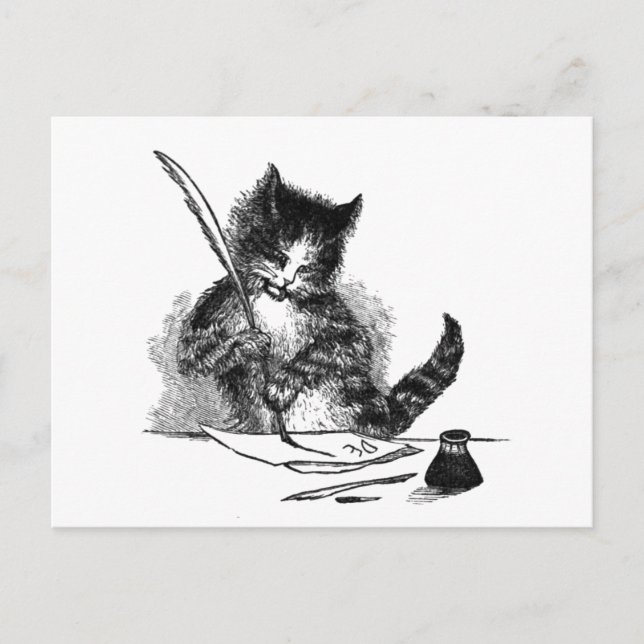 Vintage Cat Write-vykort Vykort (Framsida)