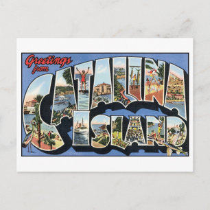 Vintage Catalina Island Postcard Vykort