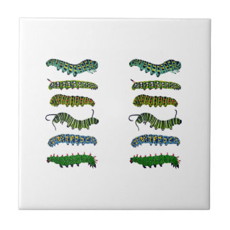 Vintage Caterpillar Illustration Mugg  Kakelplatta