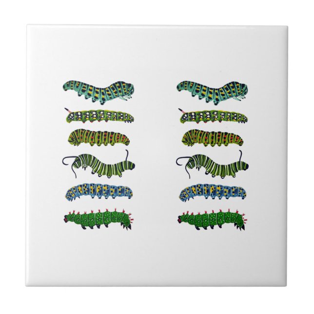 Vintage Caterpillar Illustration Mugg  Kakelplatta (Framsidan)