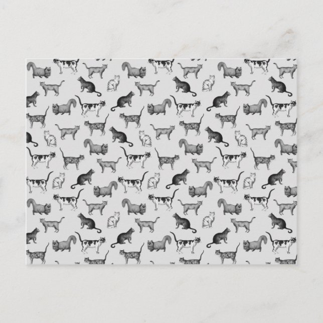 Vintage Cats Mönster Vykort (Framsida)