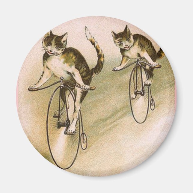 Vintage Cats på Bikes Magnet (Framsidan)