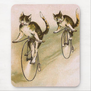 Vintage Cats på Bikes Musmatta