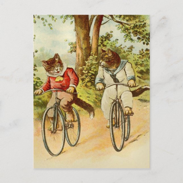 Vintage Cats Riding Bicycles Illustration Postcard Vykort (Framsida)