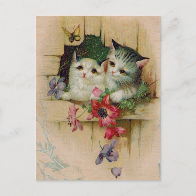 Vintage Cats vykort (Framsida)