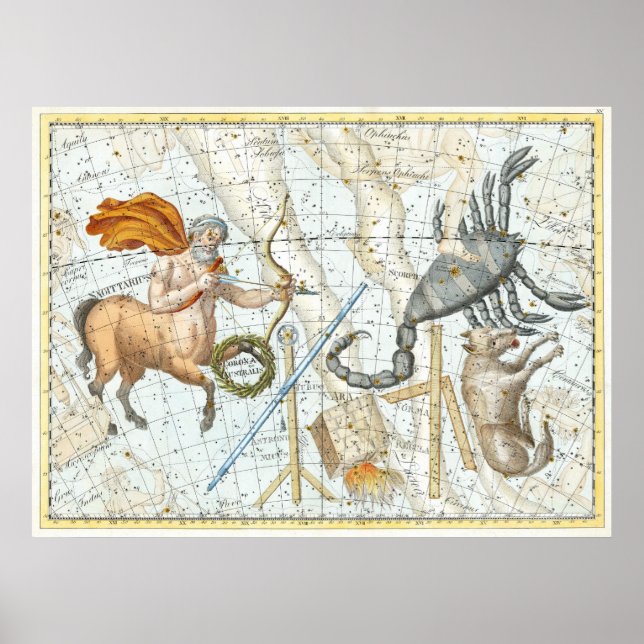 Vintage Celestial Constellations Karta Poster (Framsidan)