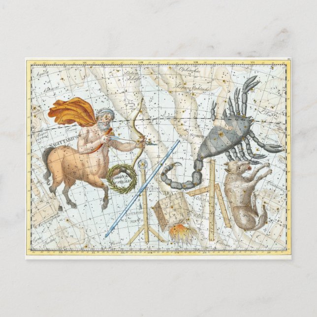 Vintage Celestial Constellations Karta Vykort (Framsida)