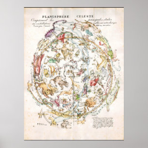 Vintage Celestial Karta Poster