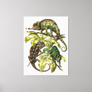 Vintage Chameleon Lizard Canvastryck