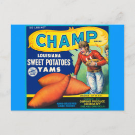 Vintage Champ Brand Sweet Potatis Ad Vykort