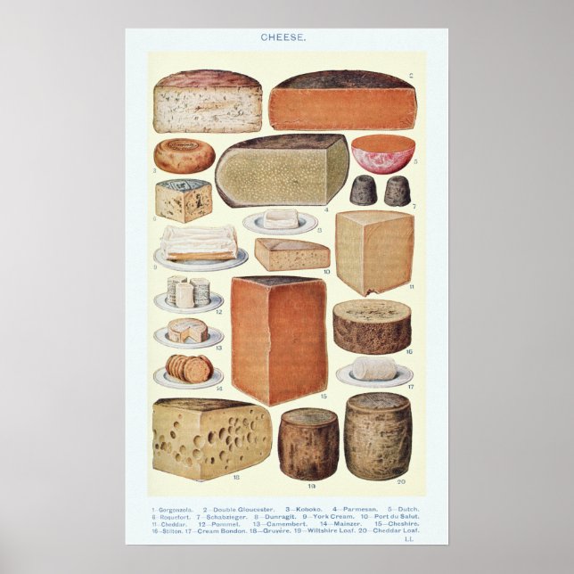 Vintage Cheese Chart Poster (Framsidan)