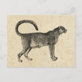 Vintage Cheetah Vykort