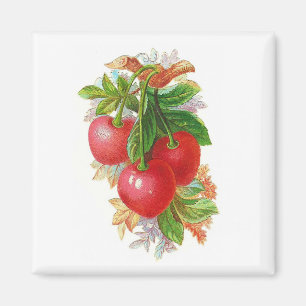 Vintage Cherries Magnet