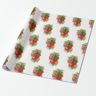Vintage Cherries Presentpapper
