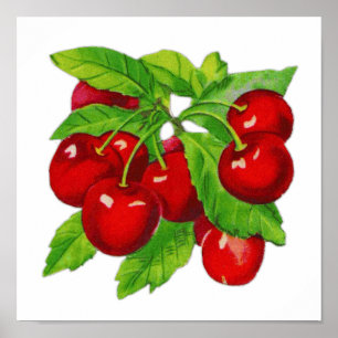 Vintage Cherry Kitchen Wall Decor Poster