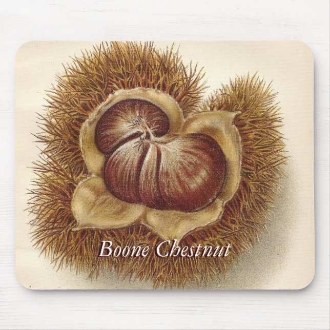 Vintage Chestnut Mousepad Musmatta (Framsidan)