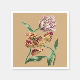 Vintage Chic 1700-tals botanisk tulpan konst Pappersservett