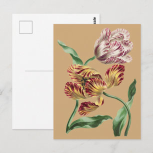Vintage Chic 1700-tals botanisk tulpan konst Vykort