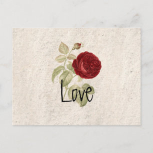 Vintage chic Romantic Girly Röd ros Vykort