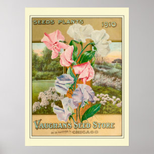 Vintage Chicago Trädgårdsblomma Frö Katalog Poster