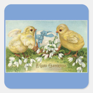 Vintage Chickar med äggmärkning Fyrkantigt Klistermärke