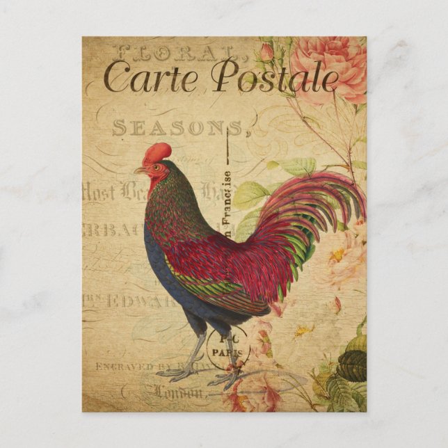 Vintage Chicken Hen Tupp illustration Fransk Vykort (Framsida)