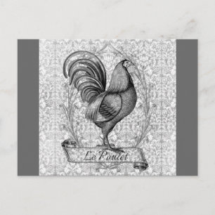 Vintage Chicken Illustration Vykort