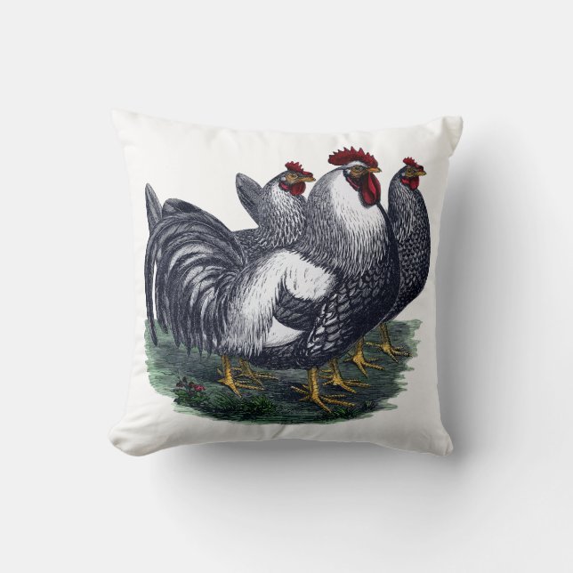 Vintage Chicken Trio Kudde (Framsida)