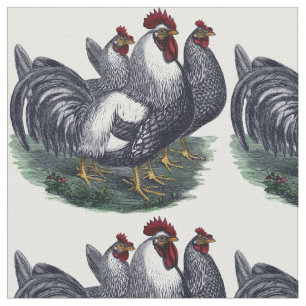 Vintage Chicken Trio Tyg