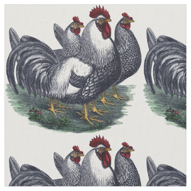 Vintage Chicken Trio Tyg (Närbild)