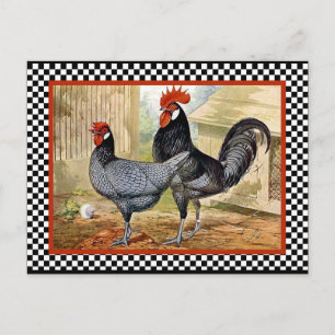 Vintage Chicken Tupp Vykort