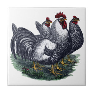 Vintage Chickens Kakelplatta