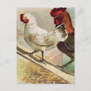 Vintage Chickers från Vintage Påsk vykort