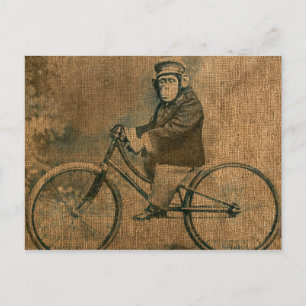 Vintage Chimp Riding a Bicycle Vykort