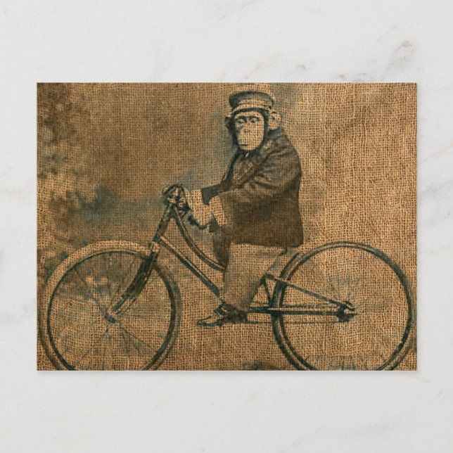 Vintage Chimp Riding a Bicycle Vykort (Framsida)