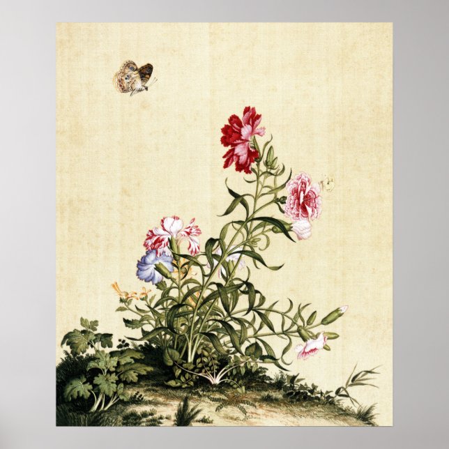 Vintage Chinoiserie Nejlikor & Fjäril Konst Poster (Framsidan)