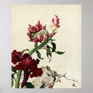 Vintage Chinoiserie Röd Cockscomb Blommig Konst Poster