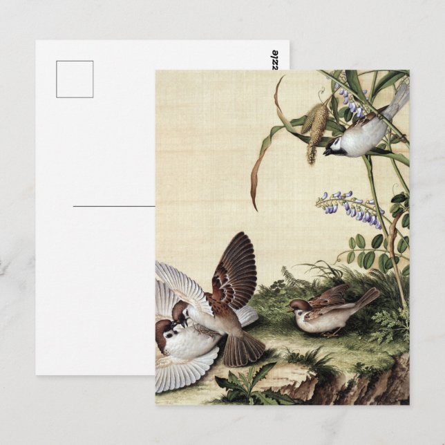 Vintage Chinoiserie Sparrows och Purpurblommor Vykort (Fram/baksida)