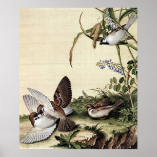 Vintage Chinoiserie Sparvar och Lila Blommor Poster