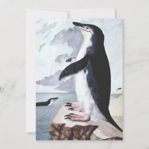 Vintage Chinstrap Penguin, fåglar från Antarctica