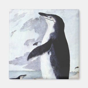 Vintage Chinstrap Penguin, fåglar från Antarctica Magnet