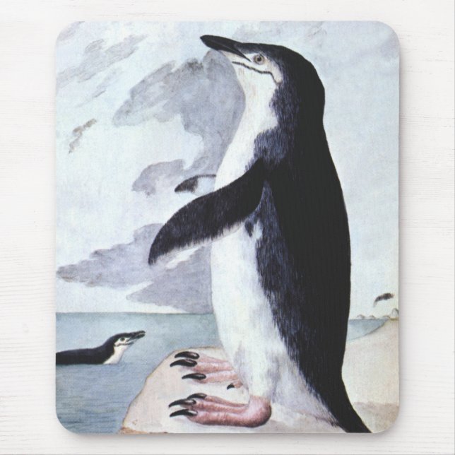 Vintage Chinstrap Penguin, fåglar från Antarctica Musmatta (Framsidan)