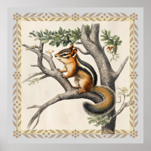 Vintage Chipmunk Sketch for Nature Älskare Poster