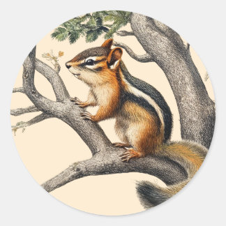 Vintage Chipmunk Sketch for Nature Älskare Runt Klistermärke