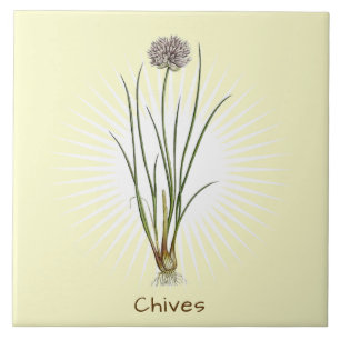 Vintage Chives Herb Botanical Art Ceramic Tile Kakelplatta